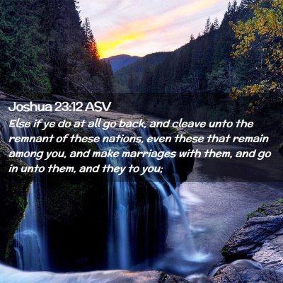 Picture 02 - Joshua 23:12 ASV - Else if ye do at all go back, and cleave unto the - Bible Verse Picture