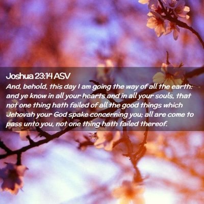 Picture 02 - Joshua 23:14 ASV - And, behold, this day I am going the way of all - Bible Verse Picture