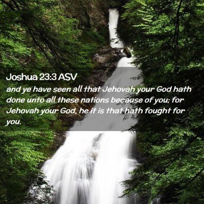 Picture 02 - Joshua 23:3 ASV - and ye have seen all that Jehovah your God hath - Bible Verse Picture