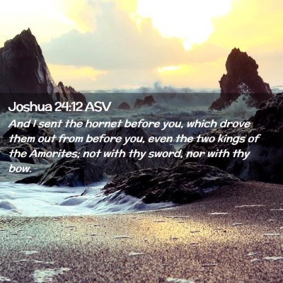 Picture 02 - Joshua 24:12 ASV - And I sent the hornet before you, which drove - Bible Verse Picture