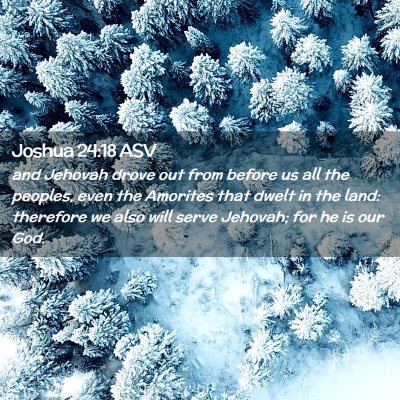Picture 02 - Joshua 24:18 ASV - and Jehovah drove out from before us all the - Bible Verse Picture