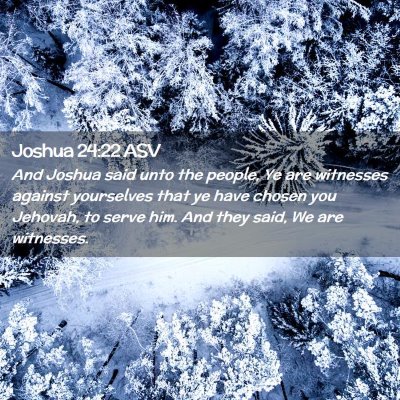 Picture 02 - Joshua 24:22 ASV - And Joshua said unto the people, Ye are witnesses - Bible Verse Picture