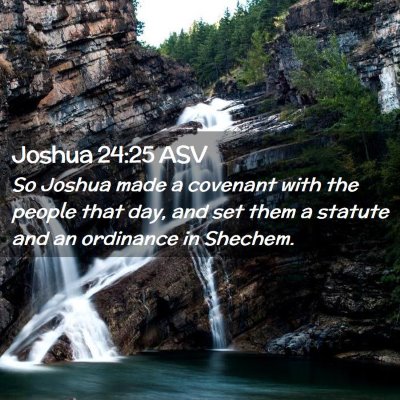 Picture 02 - Joshua 24:25 ASV - So Joshua made a covenant with the people that - Bible Verse Picture
