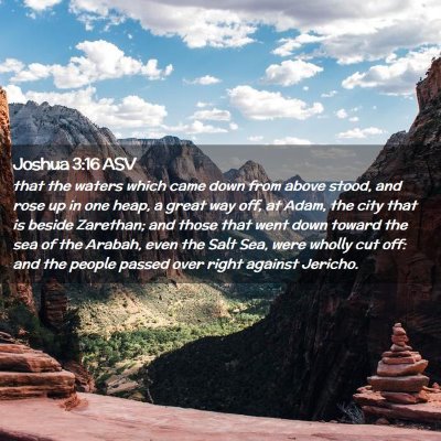Picture 02 - Joshua 3:16 ASV - that the waters which came down from above stood, - Bible Verse Picture