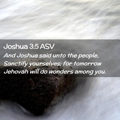 Picture 02 - Joshua 3:5 ASV - And Joshua said unto the people, Sanctify - Bible Verse Picture