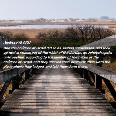 Picture 02 - Joshua 4:8 ASV - And the children of Israel did so as Joshua - Bible Verse Picture