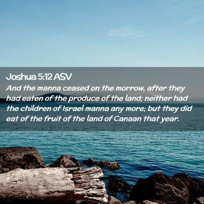 Picture 02 - Joshua 5:12 ASV - And the manna ceased on the morrow, after they - Bible Verse Picture