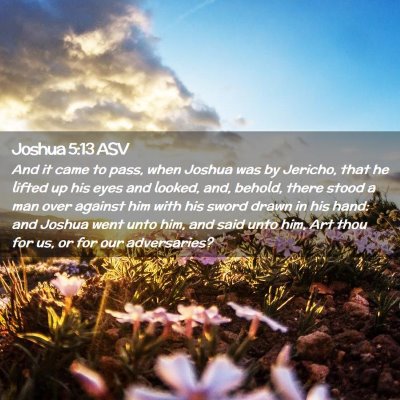 Picture 02 - Joshua 5:13 ASV - And it came to pass, when Joshua was by Jericho, - Bible Verse Picture