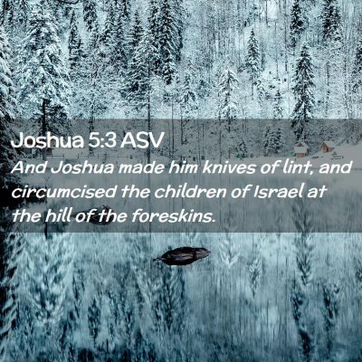 Picture 02 - Joshua 5:3 ASV - And Joshua made him knives of lint, and - Bible Verse Picture