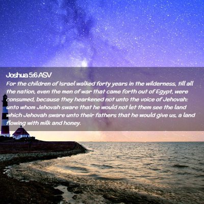 Picture 02 - Joshua 5:6 ASV - For the children of Israel walked forty years in - Bible Verse Picture