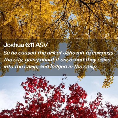 Picture 02 - Joshua 6:11 ASV - So he caused the ark of Jehovah to compass the - Bible Verse Picture