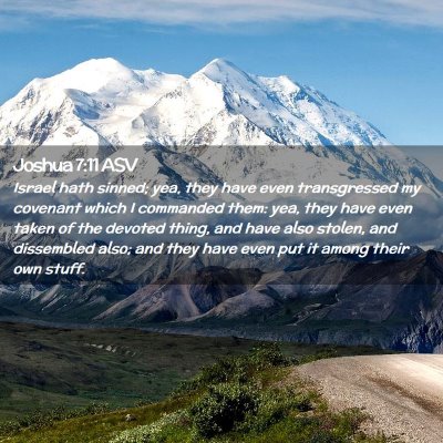 Picture 02 - Joshua 7:11 ASV - Israel hath sinned; yea, they have even - Bible Verse Picture