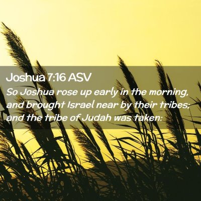 Picture 02 - Joshua 7:16 ASV - So Joshua rose up early in the morning, and - Bible Verse Picture