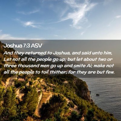 Picture 02 - Joshua 7:3 ASV - And they returned to Joshua, and said unto him, - Bible Verse Picture
