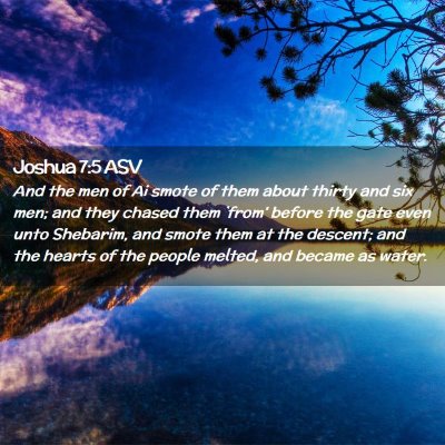 Picture 02 - Joshua 7:5 ASV - And the men of Ai smote of them about thirty and - Bible Verse Picture