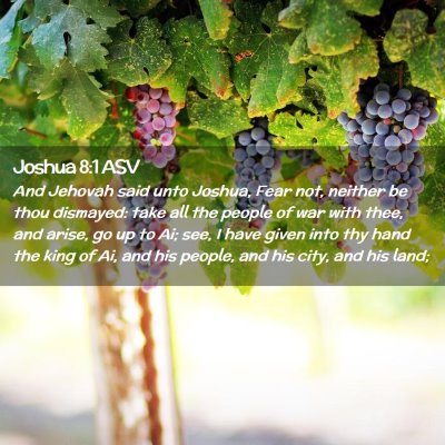 Picture 02 - Joshua 8:1 ASV - And Jehovah said unto Joshua, Fear not, neither - Bible Verse Picture