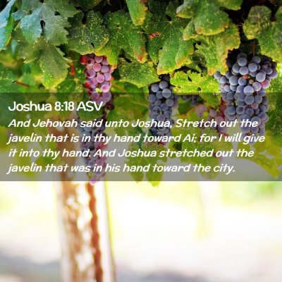 Picture 02 - Joshua 8:18 ASV - And Jehovah said unto Joshua, Stretch out the - Bible Verse Picture