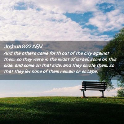 Picture 02 - Joshua 8:22 ASV - And the others came forth out of the city against - Bible Verse Picture