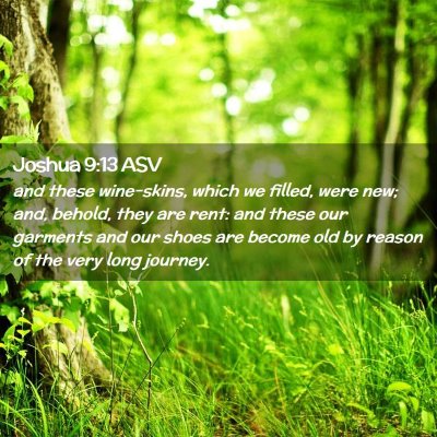 Picture 02 - Joshua 9:13 ASV - and these wine-skins, which we filled, were new; - Bible Verse Picture