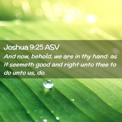 Picture 02 - Joshua 9:25 ASV - And now, behold, we are in thy hand: as it - Bible Verse Picture