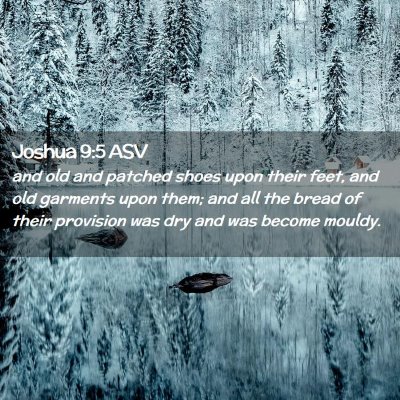 Picture 02 - Joshua 9:5 ASV - and old and patched shoes upon their feet, and - Bible Verse Picture