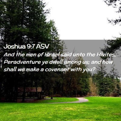 Picture 02 - Joshua 9:7 ASV - And the men of Israel said unto the Hivites, - Bible Verse Picture