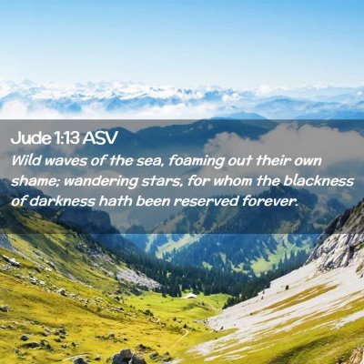 Picture 02 - Jude 1:13 ASV - Wild waves of the sea, foaming out their own - Bible Verse Picture