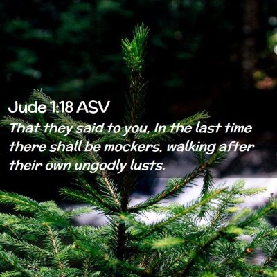 Picture 02 - Jude 1:18 ASV - That they said to you, In the last time there - Bible Verse Picture