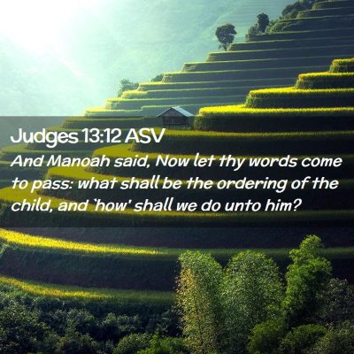 Picture 02 - Judges 13:12 ASV - And Manoah said, Now let thy words come to pass: - Bible Verse Picture