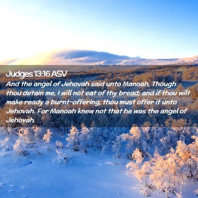 Picture 02 - Judges 13:16 ASV - And the angel of Jehovah said unto Manoah, Though - Bible Verse Picture
