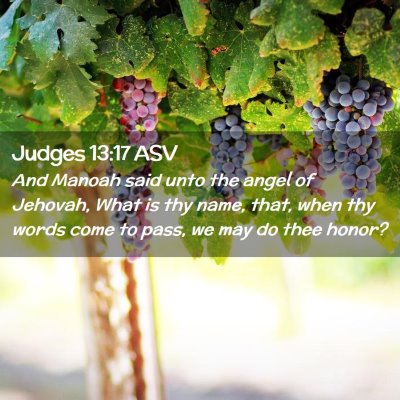Picture 02 - Judges 13:17 ASV - And Manoah said unto the angel of Jehovah, What - Bible Verse Picture