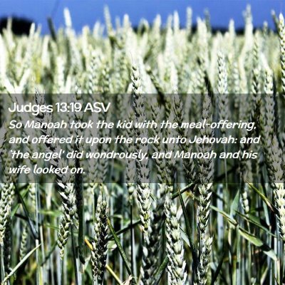Picture 02 - Judges 13:19 ASV - So Manoah took the kid with the meal-offering, - Bible Verse Picture