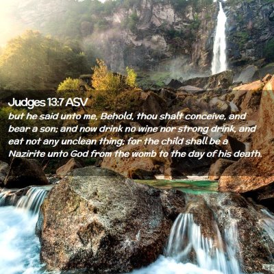 Picture 02 - Judges 13:7 ASV - but he said unto me, Behold, thou shalt conceive, - Bible Verse Picture