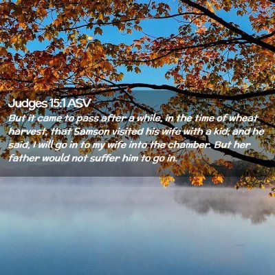 Picture 02 - Judges 15:1 ASV - But it came to pass after a while, in the time of - Bible Verse Picture