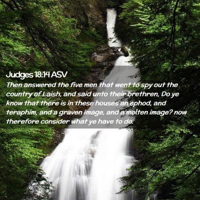 Picture 02 - Judges 18:14 ASV - Then answered the five men that went to spy out - Bible Verse Picture