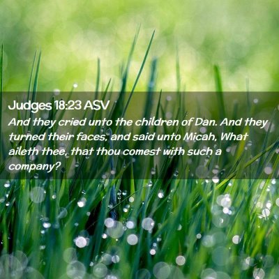 Picture 02 - Judges 18:23 ASV - And they cried unto the children of Dan. And they - Bible Verse Picture