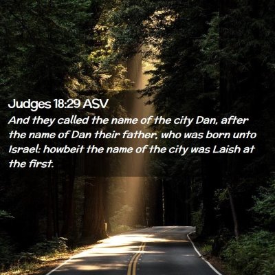 Picture 02 - Judges 18:29 ASV - And they called the name of the city Dan, after - Bible Verse Picture