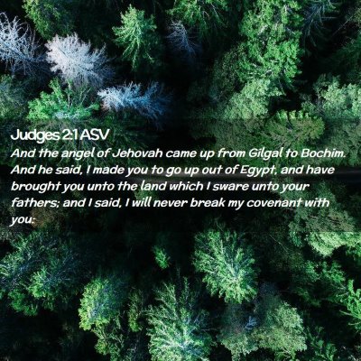 Picture 02 - Judges 2:1 ASV - And the angel of Jehovah came up from Gilgal to - Bible Verse Picture