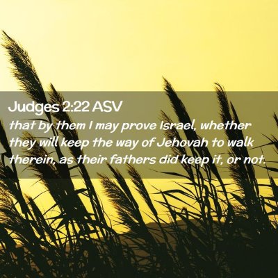 Picture 02 - Judges 2:22 ASV - that by them I may prove Israel, whether they - Bible Verse Picture