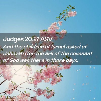 Picture 02 - Judges 20:27 ASV - And the children of Israel asked of Jehovah (for - Bible Verse Picture