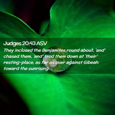 Picture 02 - Judges 20:43 ASV - They inclosed the Benjamites round about, `and' - Bible Verse Picture