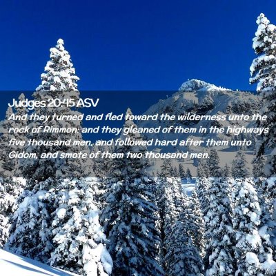 Picture 02 - Judges 20:45 ASV - And they turned and fled toward the wilderness - Bible Verse Picture