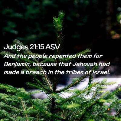 Picture 02 - Judges 21:15 ASV - And the people repented them for Benjamin, - Bible Verse Picture