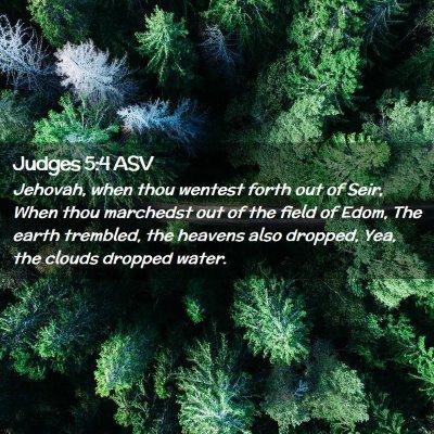 Picture 02 - Judges 5:4 ASV - Jehovah, when thou wentest forth out of Seir, - Bible Verse Picture