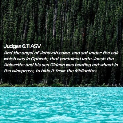 Picture 02 - Judges 6:11 ASV - And the angel of Jehovah came, and sat under the - Bible Verse Picture