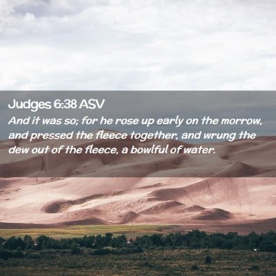 Picture 02 - Judges 6:38 ASV - And it was so; for he rose up early on the - Bible Verse Picture