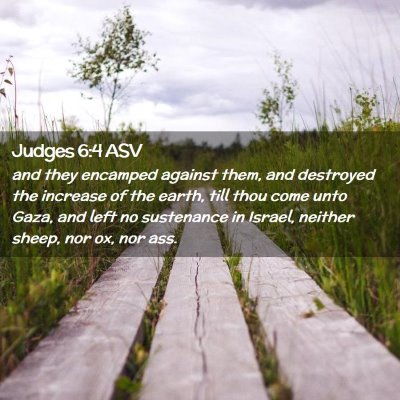 Picture 02 - Judges 6:4 ASV - and they encamped against them, and destroyed the - Bible Verse Picture