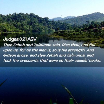 Picture 02 - Judges 8:21 ASV - Then Zebah and Zalmunna said, Rise thou, and fall - Bible Verse Picture