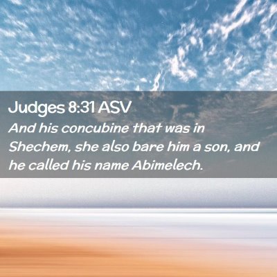 Picture 02 - Judges 8:31 ASV - And his concubine that was in Shechem, she also - Bible Verse Picture