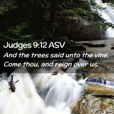 Picture 02 - Judges 9:12 ASV - And the trees said unto the vine, Come thou, and - Bible Verse Picture